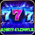 andy flower Slots Royal v1.5.0