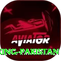 Cricket Betting Pakistan King Pakistan