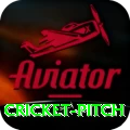 cricket pitch Gaming VIP