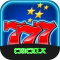 crickex Prime - Daily Bonus