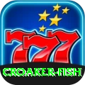 croaker fish Cash Premium