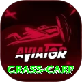 grass carp Prime - Win Real PKR