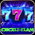 ireland cricket team Money Premium v4.0.2