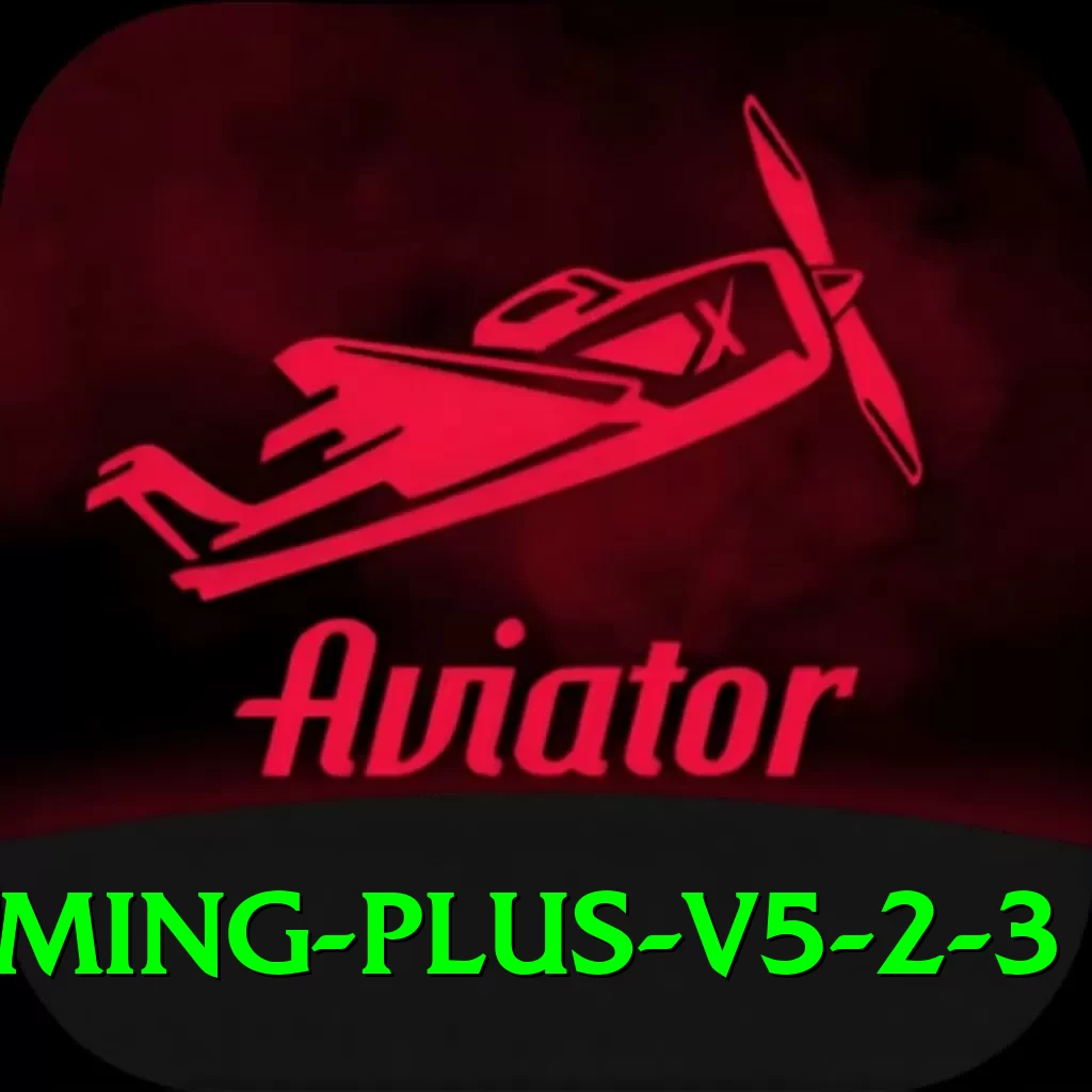 Metawin Gaming Plus v5.2.3 - 2
