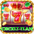 new zealand cricket team Prime PK v4.7.5