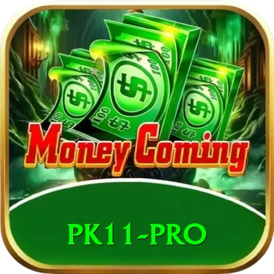 pk11 Plus APK v5.1.9 - 2