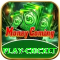 play cricket App Pro v4.6.3