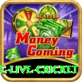 smartcric live cricket Casino Official v4.1.5
