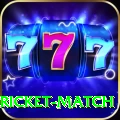 to day cricket match Elite Rewards
