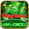 watch live cricket Pakistan Max v3.7.5