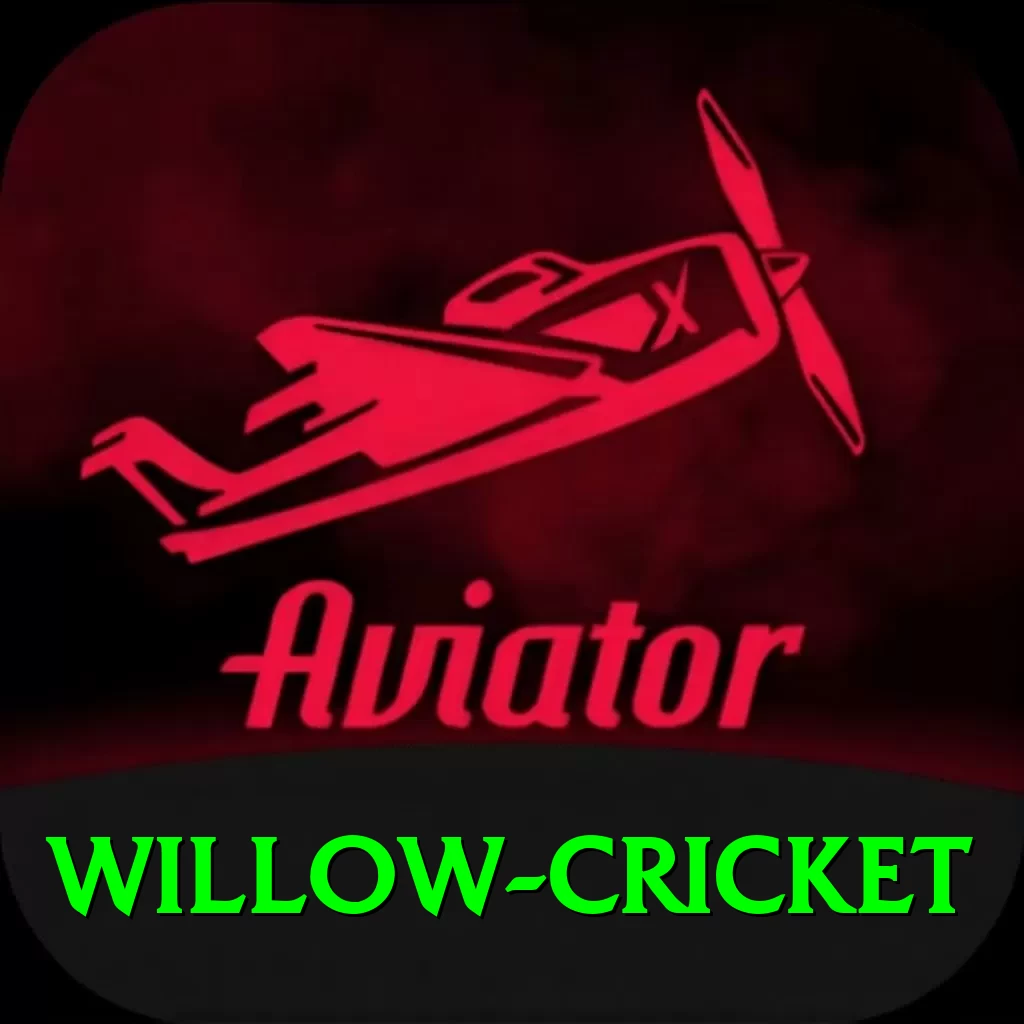 willow cricket Champion PK v2.1.4 - 2