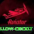 willow cricket Champion PK v2.1.4